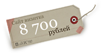 Сайт визитка от студии ЭРБИ за 8700 рублей